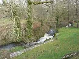 Ruisseau de l'Étang