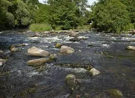 Ruisseau de Ribault