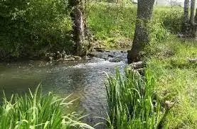 Ruisseau de Sauvaget