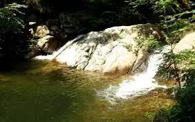 Ruisseau des Poulinières