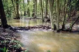 Ruisseau du Bois Tué