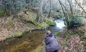 Ruisseau de Beaugerais