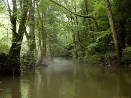 Ruisseau de Ferrière