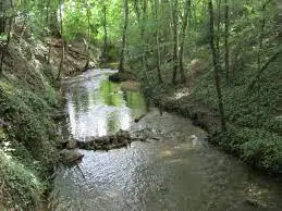 Ruisseau de la Jubardière