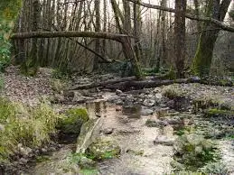 Ruisseau de Nantilly