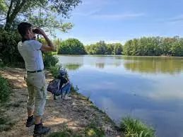 Ruisseau de l'Étang de Brosse