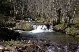 Ruisseau de la Grange