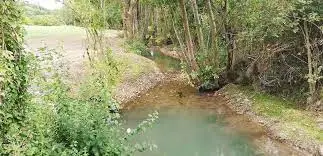 Ruisseau de Turpenay