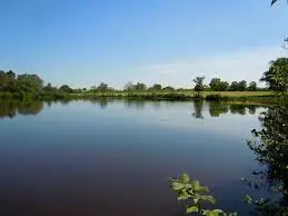 Étang de la Bénardière