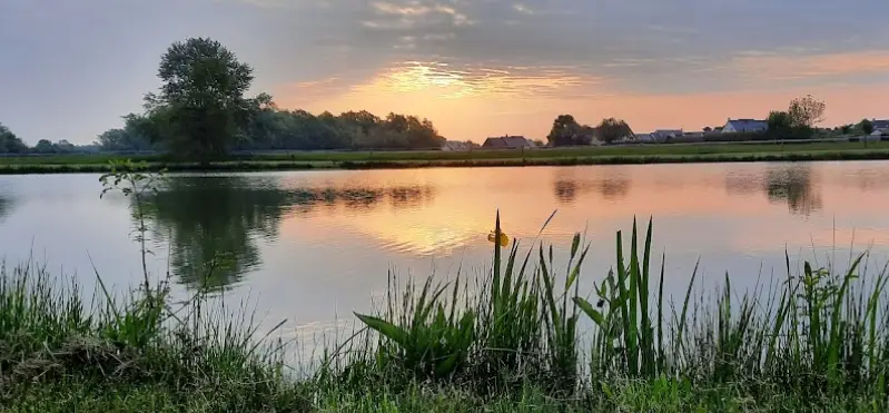 Petit Étang Communal d'Ambillou