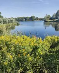 Étang de Tournelune