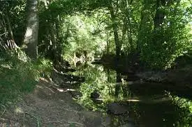 Pêche Ruisseau de l'Étang de Crémille