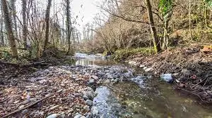 Ruisseau de Belleville