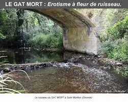Ruisseau du Mortier
