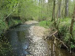 Ruisseau de la Fouraudière