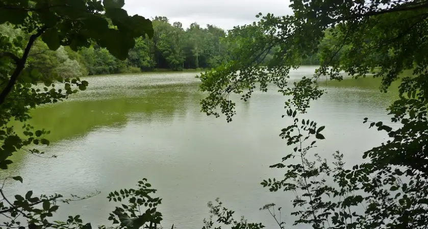 Etang de l'Arche