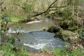 Ruisseau Besnard