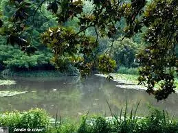 Plan d'eau de Cyprès