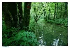 Ruisseau de Montorge