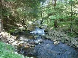 Ruisseau de Devant
