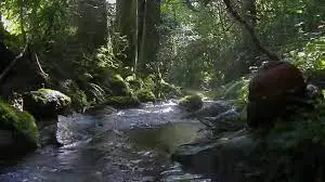 Ruisseau de la Murgatière