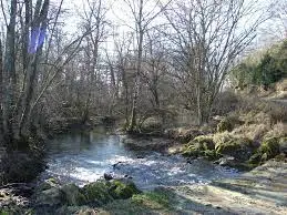 Ruisseau de Bourney