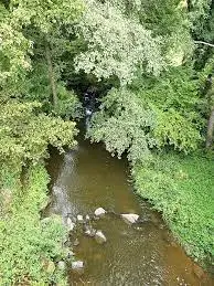 Ruisseau de la Fontaine Chambon