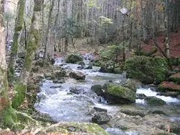 Ruisseau du Quart