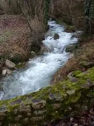 Ruisseau de la Colombe