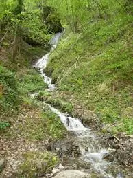 Ruisseau de Pillemoine