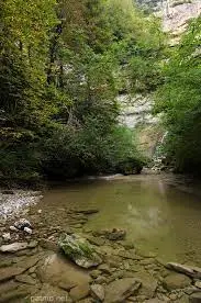 Ruisseau de la Grande Fin