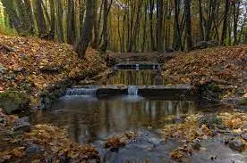 Ruisseau de la Lachère