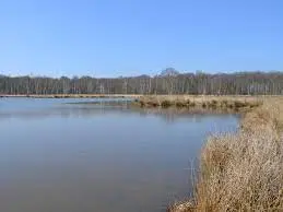 Étang des Perchettes