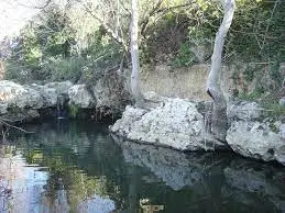 Pêche Ruisseau du Moulin de Laurens