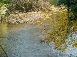 Ruisseau de Brunet