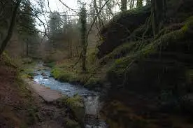 Ruisseau de Peyroutéou