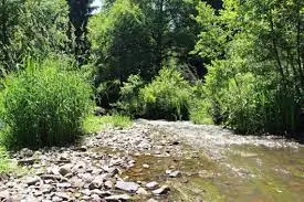 Ruisseau de Boutoura