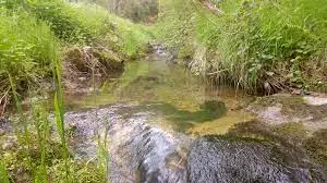 Ruisseau de la Crotte