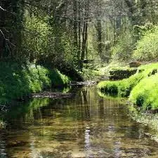 Ruisseau des Hagnas