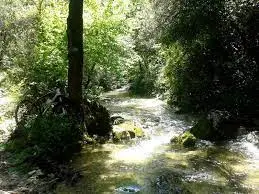 Ruisseau du Maure