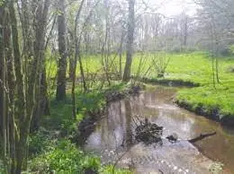 Ruisseau de Put Boué