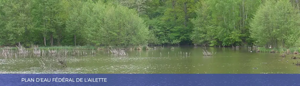 L'Ailette à Chamouille