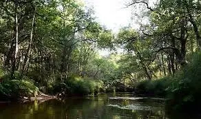 Ruisseau des Verrouils