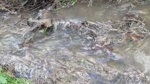 Ruisseau de l'École