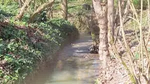 Ruisseau du Moulin