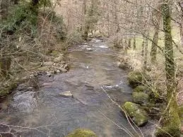 Ruisseau de Tic