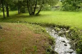 Ruisseau de la Téoulère