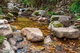 Ruisseau de la Tuilerie