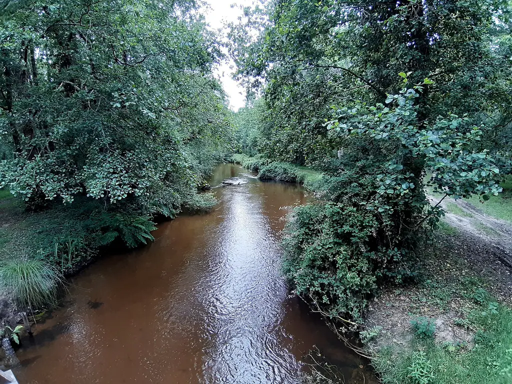 Ruisseau d'Escource
