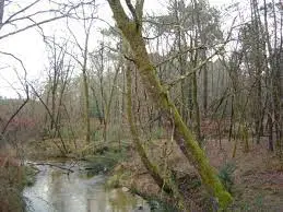 Ruisseau de Yosse